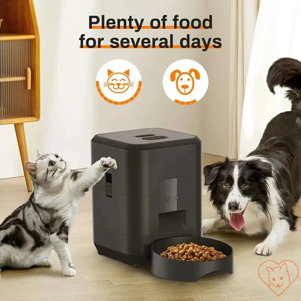 2L Pet Feeder Timing Smart Automatic Dog Pet Feeder For Cats Dog Button WIFI APP Intelligent Dry Food Dispenser Dog Bowl