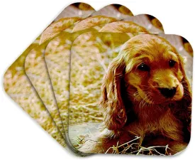 3dRose CST_486_1 Irish Setter Puppy Soft Coasters, Set of 4