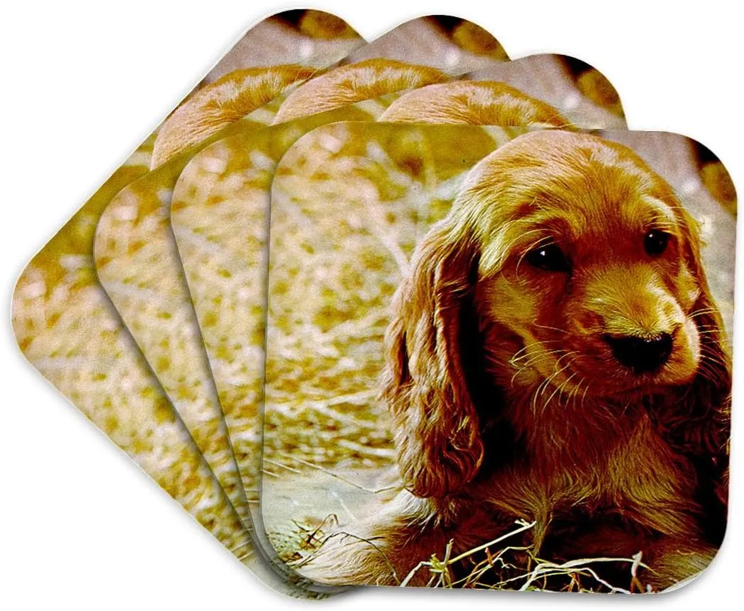 3dRose CST_486_1 Irish Setter Puppy Soft Coasters, Set of 4