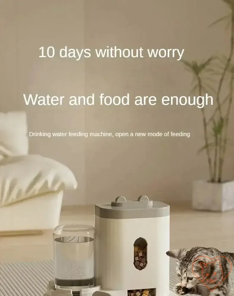 Automatic Feeder & Water Fountain – Raised Stand Dish Bowl for Cats