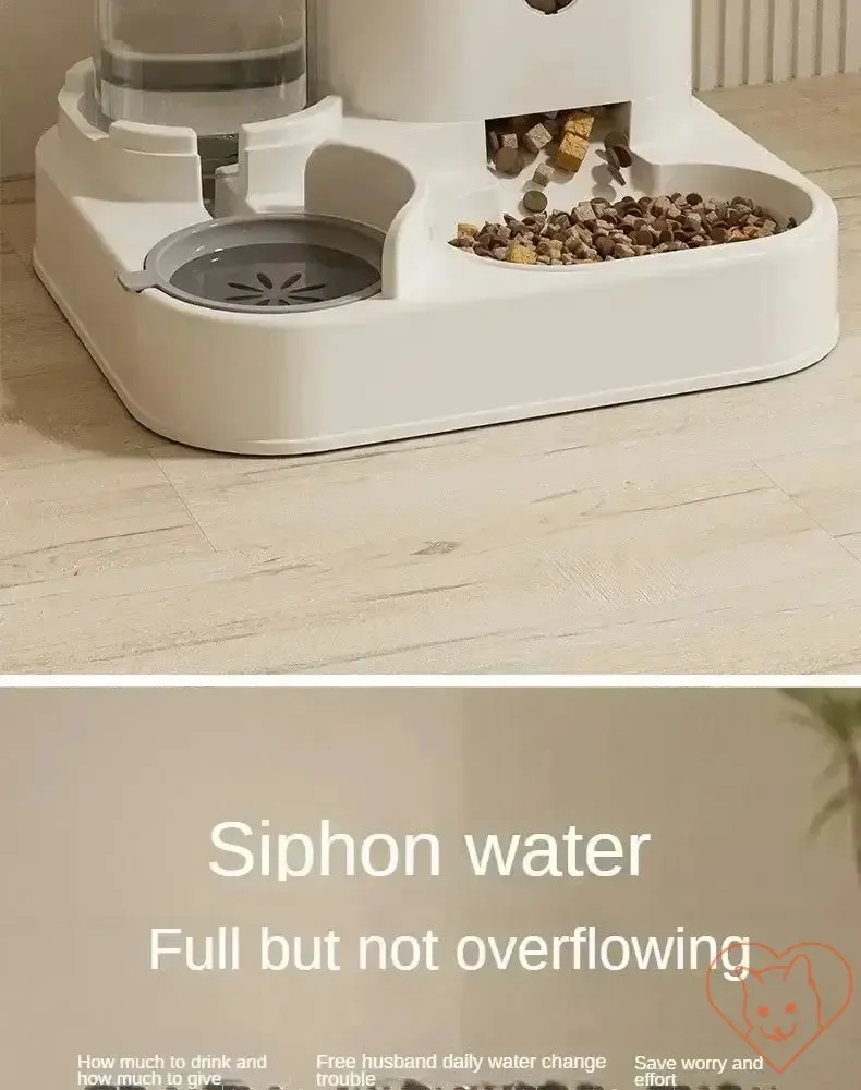 Automatic Feeder & Water Fountain – Raised Stand Dish Bowl for Cats