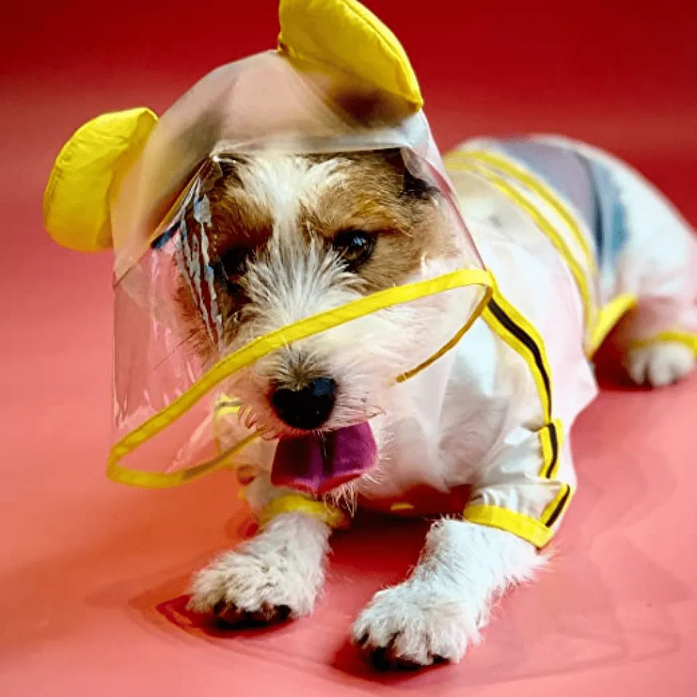 Barkbutler x Fofos Four Leg Yellow Raincoat for Dogs (Button Up Style)