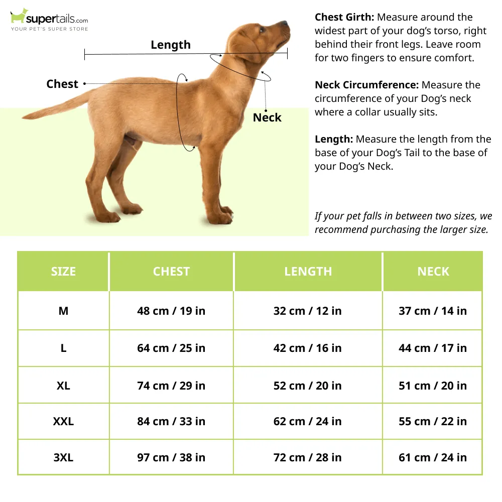 Barkbutler x Fofos Four Leg Yellow Raincoat for Dogs (Button Up Style)