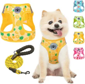 BEAUTYZOO Step in Dog Harness and Leash Set,Reflective Dog Harness No Pull No Choke Puppy Harness for Small Medium Large Dogs Cats,Soft Padded Mesh Vest Harnesses for Girl and Boy Pets, Pineapple S