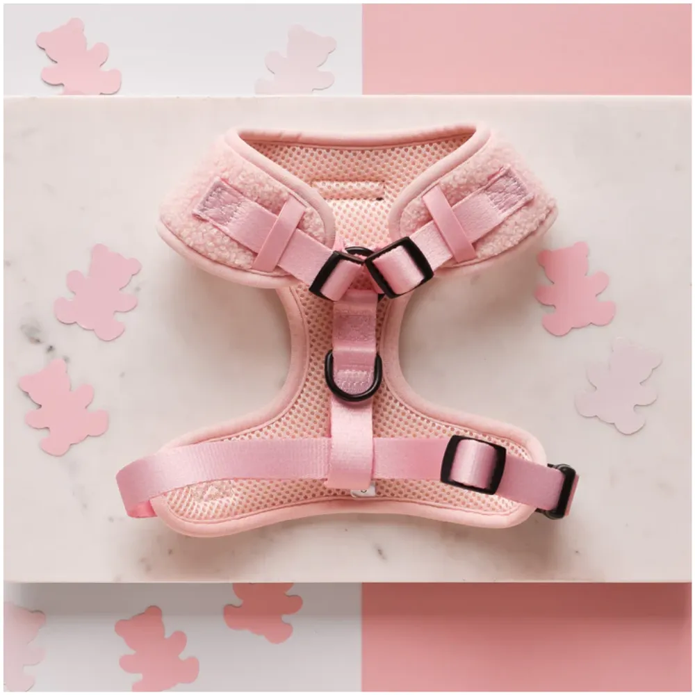 Cocopup London - Teddy Love Alot - Harness