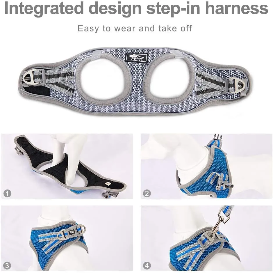 Dog and Cat Universal Harness with Leash - Cat Harness Escape Proof - Adjustable Reflective Step in Dog Harness for Small Dogs Medium Dogs - Soft Mesh Comfort Fit No Pull No Choke, Grey, L
