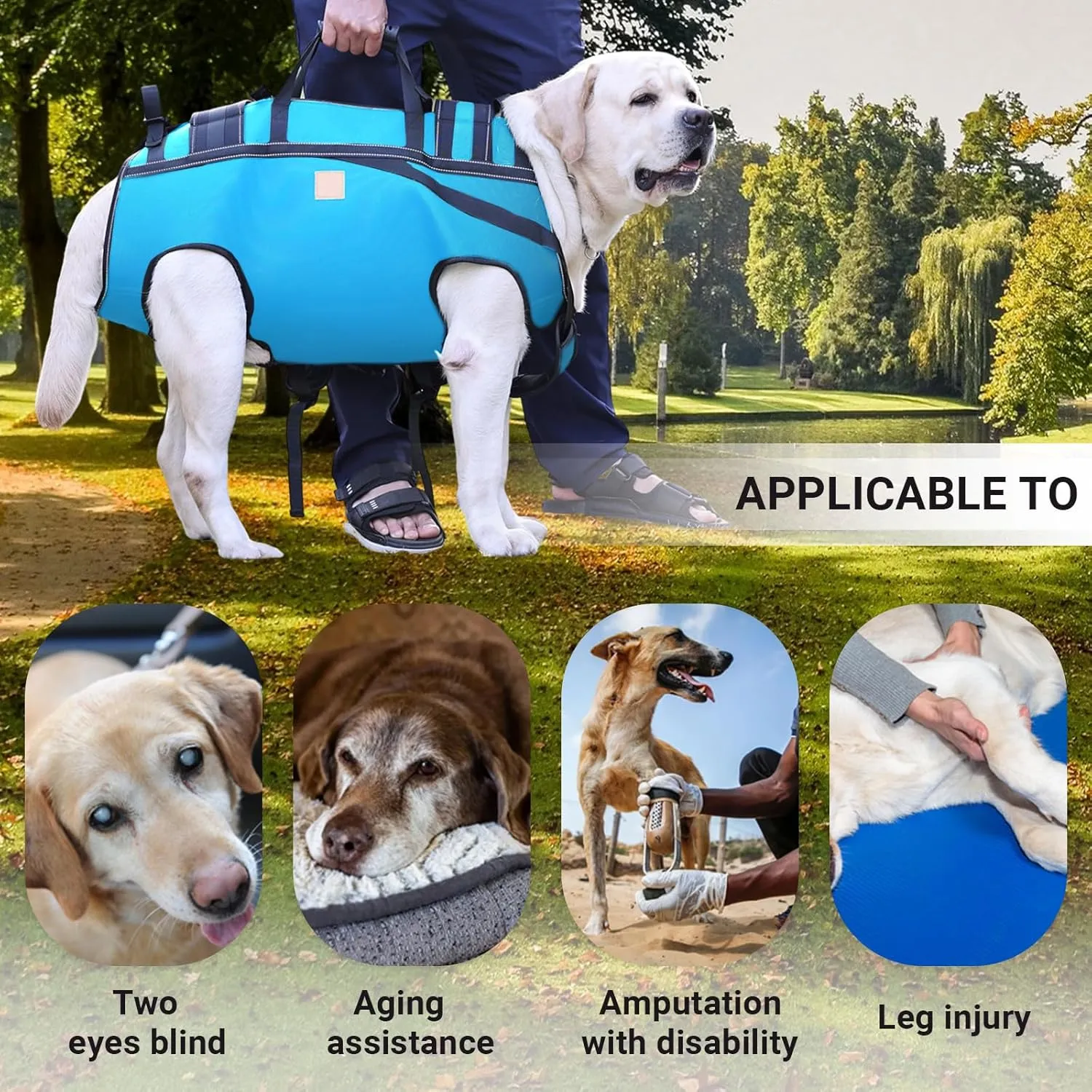 Dog Lift Harness Backpack Carrier for Large Dogs, Full Body Sling with Handle, Dog Harness for Joint Injuries, Arthritis, Ideal for Stairs, Elderly Dogs (Blue X-Large 33-50 LBS)