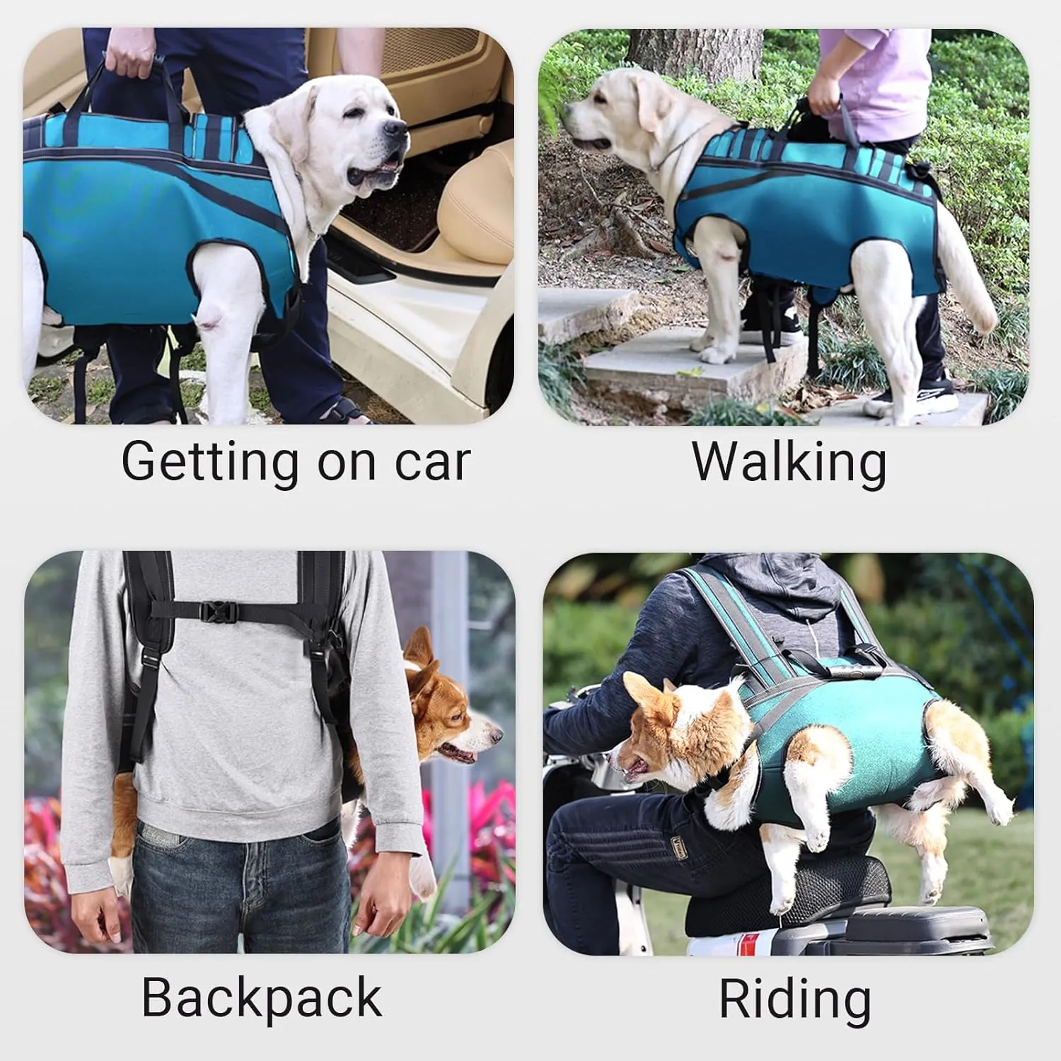 Dog Lift Harness Backpack Carrier for Large Dogs, Full Body Sling with Handle, Dog Harness for Joint Injuries, Arthritis, Ideal for Stairs, Elderly Dogs (Blue X-Large 33-50 LBS)