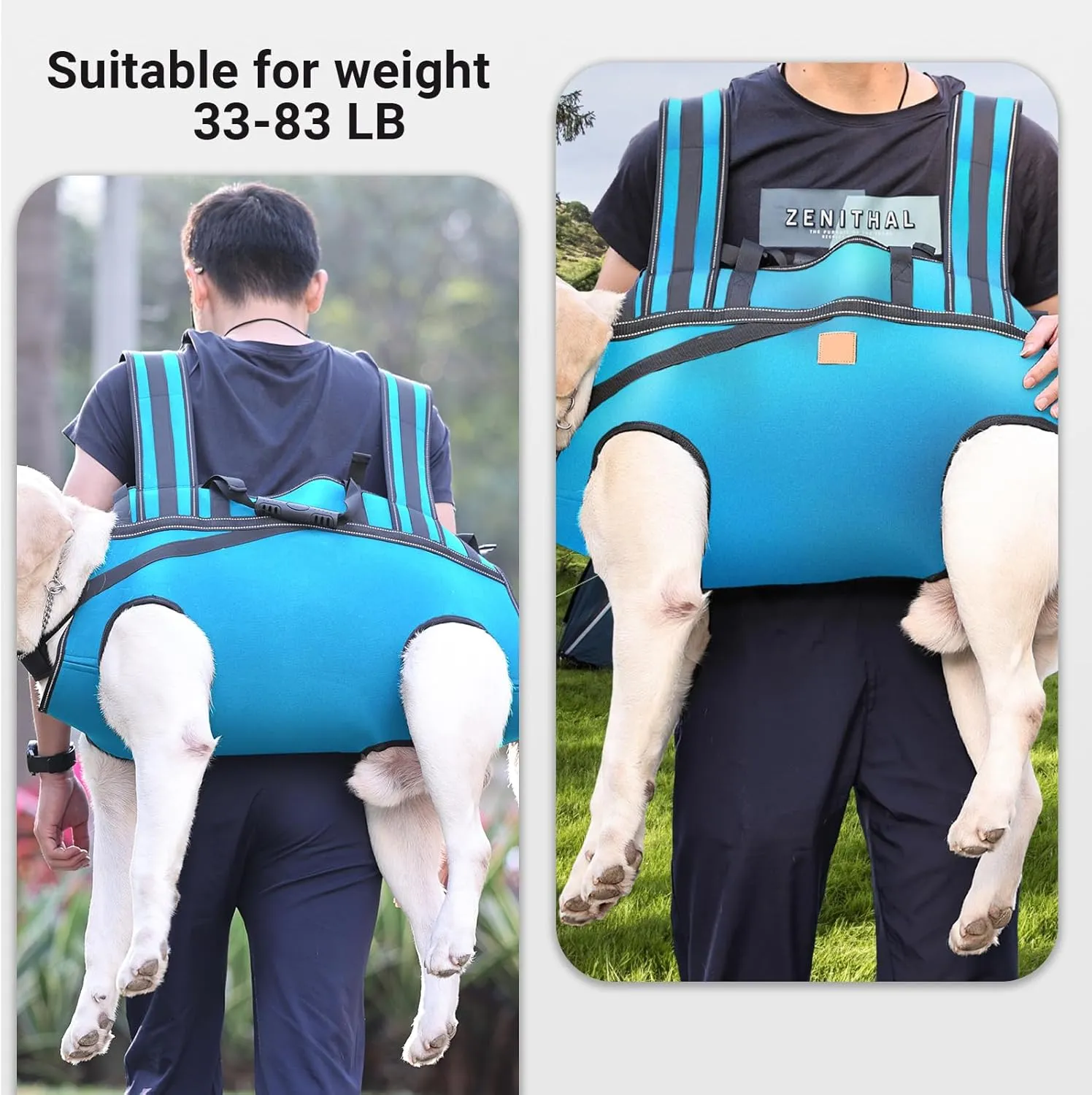 Dog Lift Harness Backpack Carrier for Large Dogs, Full Body Sling with Handle, Dog Harness for Joint Injuries, Arthritis, Ideal for Stairs, Elderly Dogs (Blue X-Large 33-50 LBS)