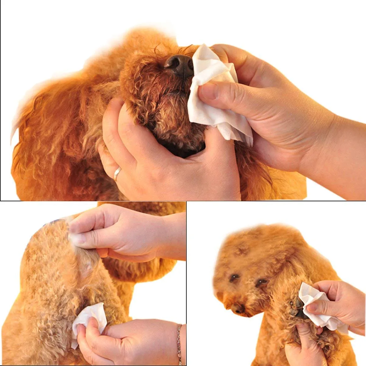Dog Pet Wipes Extra Moist & Thick Grooming Wipes 100 Pcs Deodorizing and Hypoallergenic Fresh Wipes for Dogs & Cats