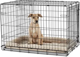 EveryYay Going Places 1-Door Folding Dog Crate 42" L X 28.5" W X 30.4" H