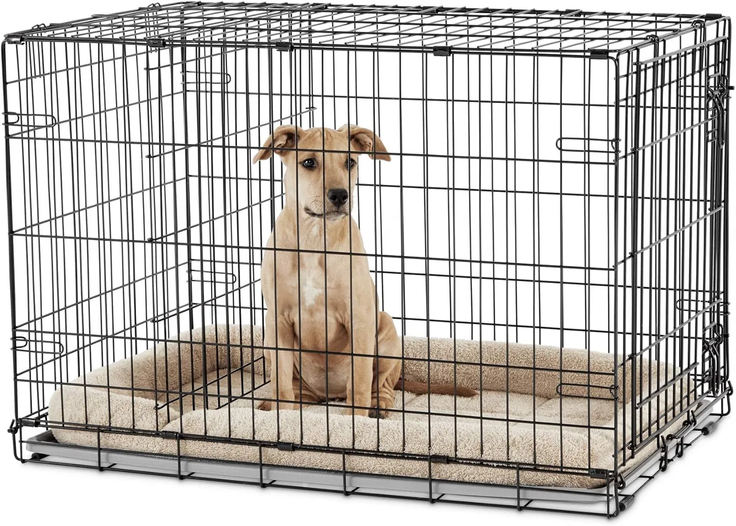 EveryYay Going Places 1-Door Folding Dog Crate 42" L X 28.5" W X 30.4" H