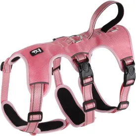 FEimaX Dog Harness No Pull Soft Padded Dog Vest with 3 Leash Clips and Easy Control Handle Reflective Adjustable No Choke Pet Harnesses for Medium and Large Dogs Training Walking (Pink, X-Large)