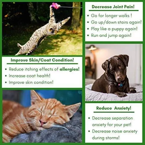 FurryFriends Full Spectrum Hemp Oil for Dogs Cats and Horses 500 mg W/Grooming Glove All Natural Pain Relief Extract Stress Anxiety Arthritis Calming Joint Health Separation Treatment Organic Bundle