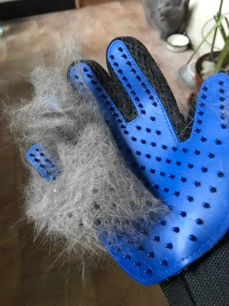 Gentle Grooming Cat Glove