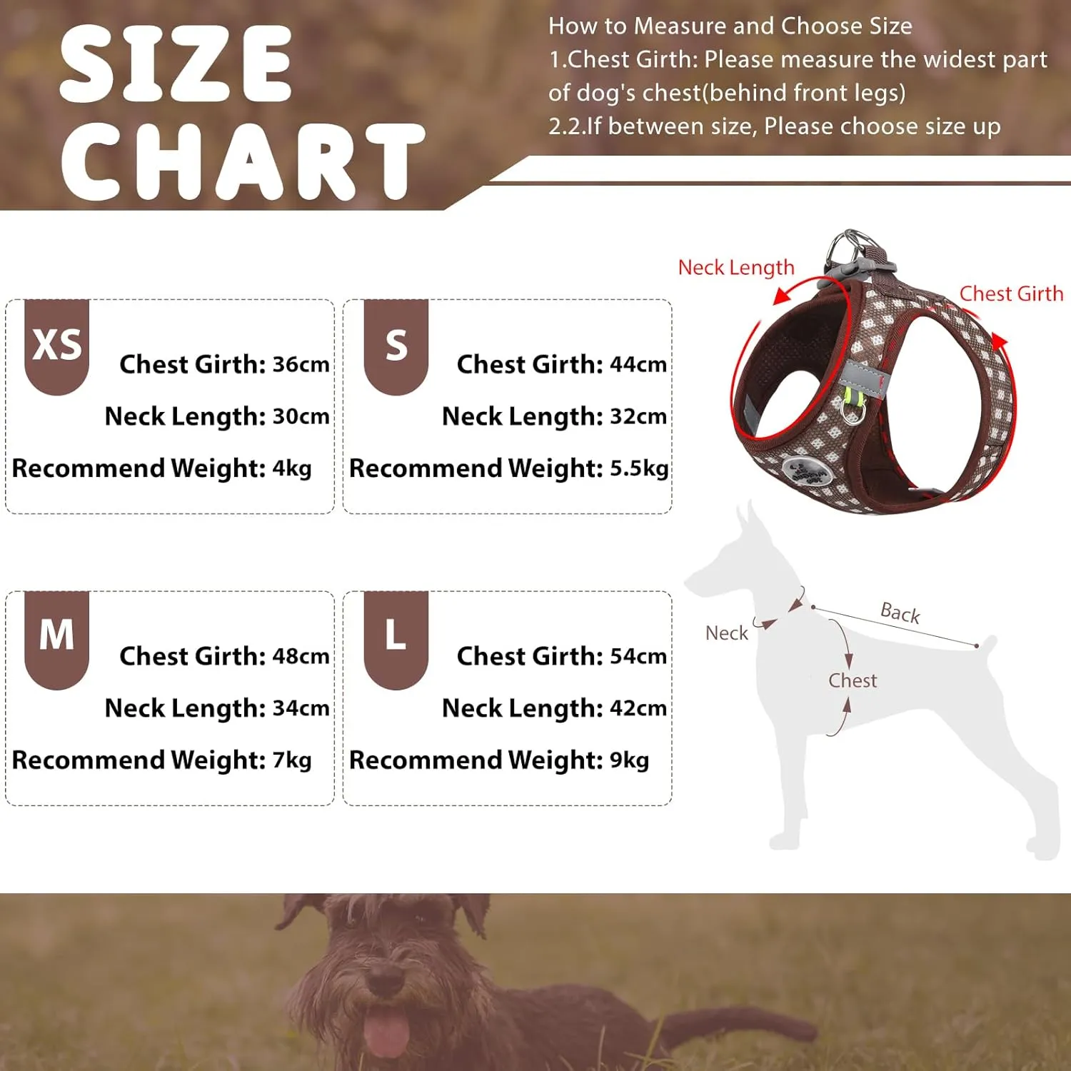 Gyuzh Dog Harness and Leash Set,Soft Mesh Breathable Small Dog Harness,Reflective Adjustable Puppy Harness,No Pull Pet Harness for Small Dogs and Cats
