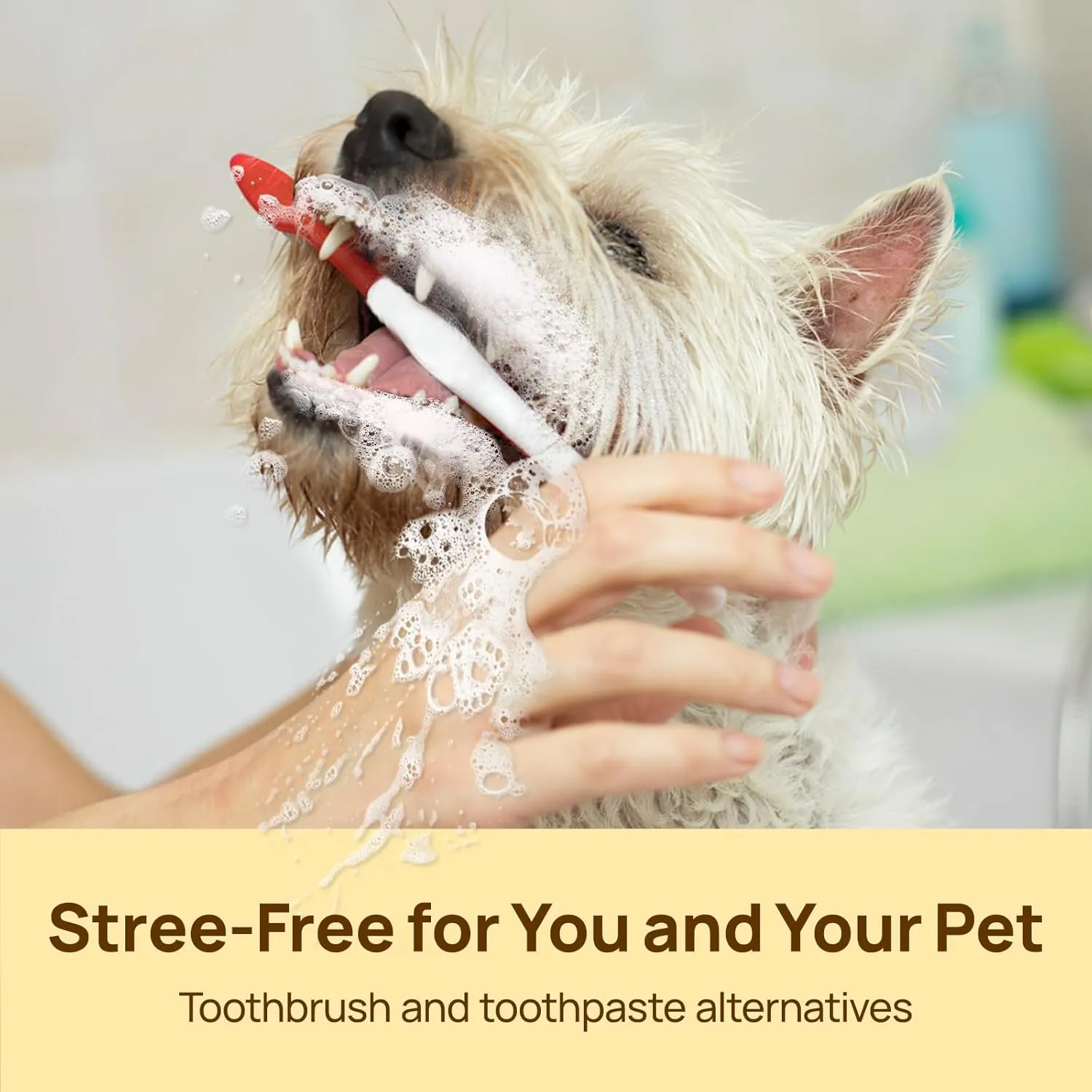 HICC PET Teeth Cleaning Wipes for Dogs & Cats, Remove Bad Breath by Removing Plaque and Tartar Buildup, Disposable Dog Finger Toothbrush Gentle Pet Dental Care Wipes, Dog Tooth Brushing Kit
