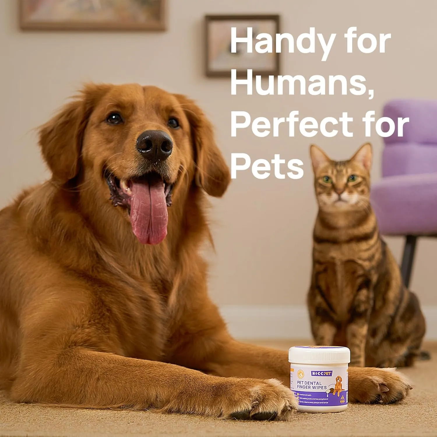 HICC PET Teeth Cleaning Wipes for Dogs & Cats, Remove Bad Breath by Removing Plaque and Tartar Buildup, Disposable Dog Finger Toothbrush Gentle Pet Dental Care Wipes, Dog Tooth Brushing Kit