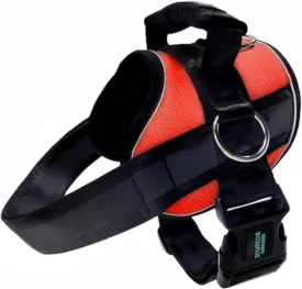 Joyride Harness 2.0    3     