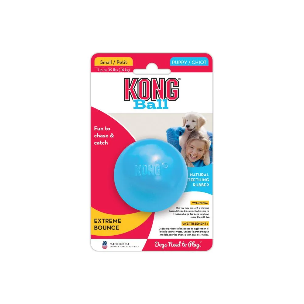 Kong Puppy Ball with Hole (Blue)