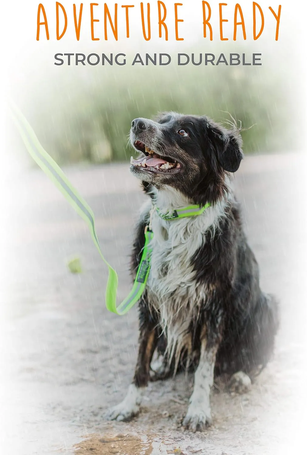 Mighty Paw Waterproof Dog Leash - Smell-Proof Pet Lead Against Dog Foot Smell - Ideal Nylon Reflective Leash for Swimming - Camping - Hiking - Reflective Safety Stripe - 6 Foot - Green