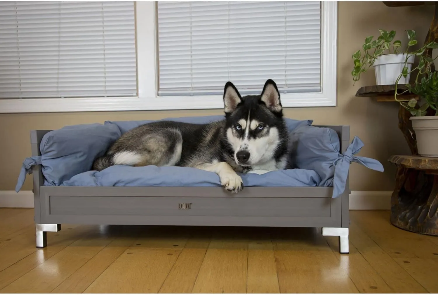 New Age Pet ECOFLEX Manhattan Elevated Dog Bed with Memory Foam Cushion, Durable Wood-Plastic Composite Frame, Removable Washable Cover, Ideal for Pets Up to 90 lbs - Grey
