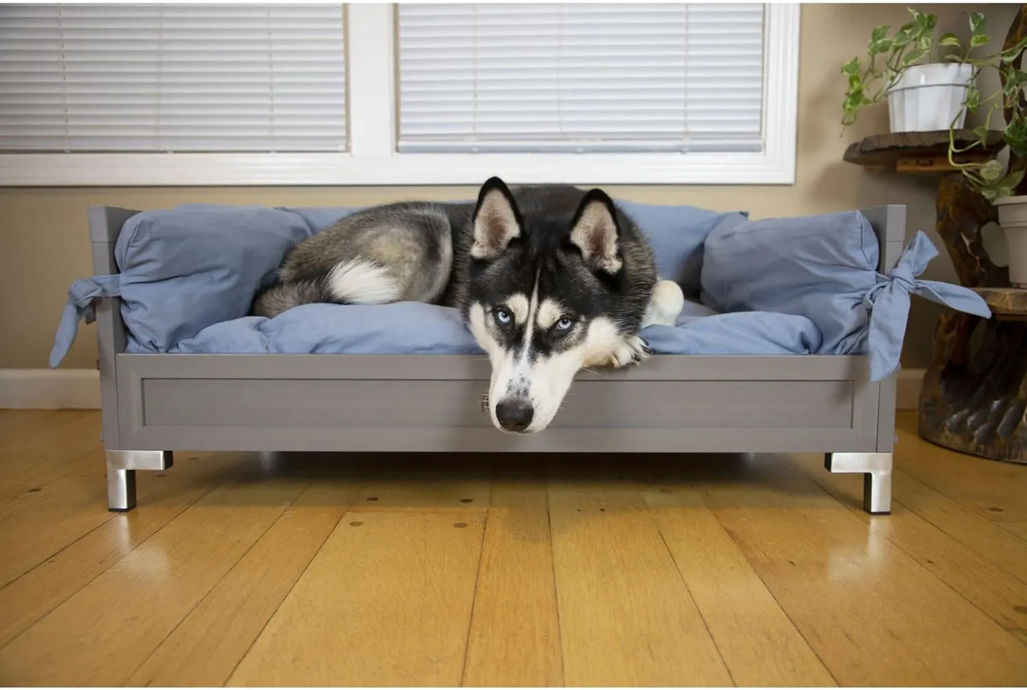 New Age Pet ECOFLEX Manhattan Elevated Dog Bed with Memory Foam Cushion, Durable Wood-Plastic Composite Frame, Removable Washable Cover, Ideal for Pets Up to 90 lbs - Grey