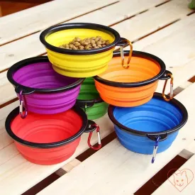 Portable Folding Silicone Pet Bowl with Carabiner