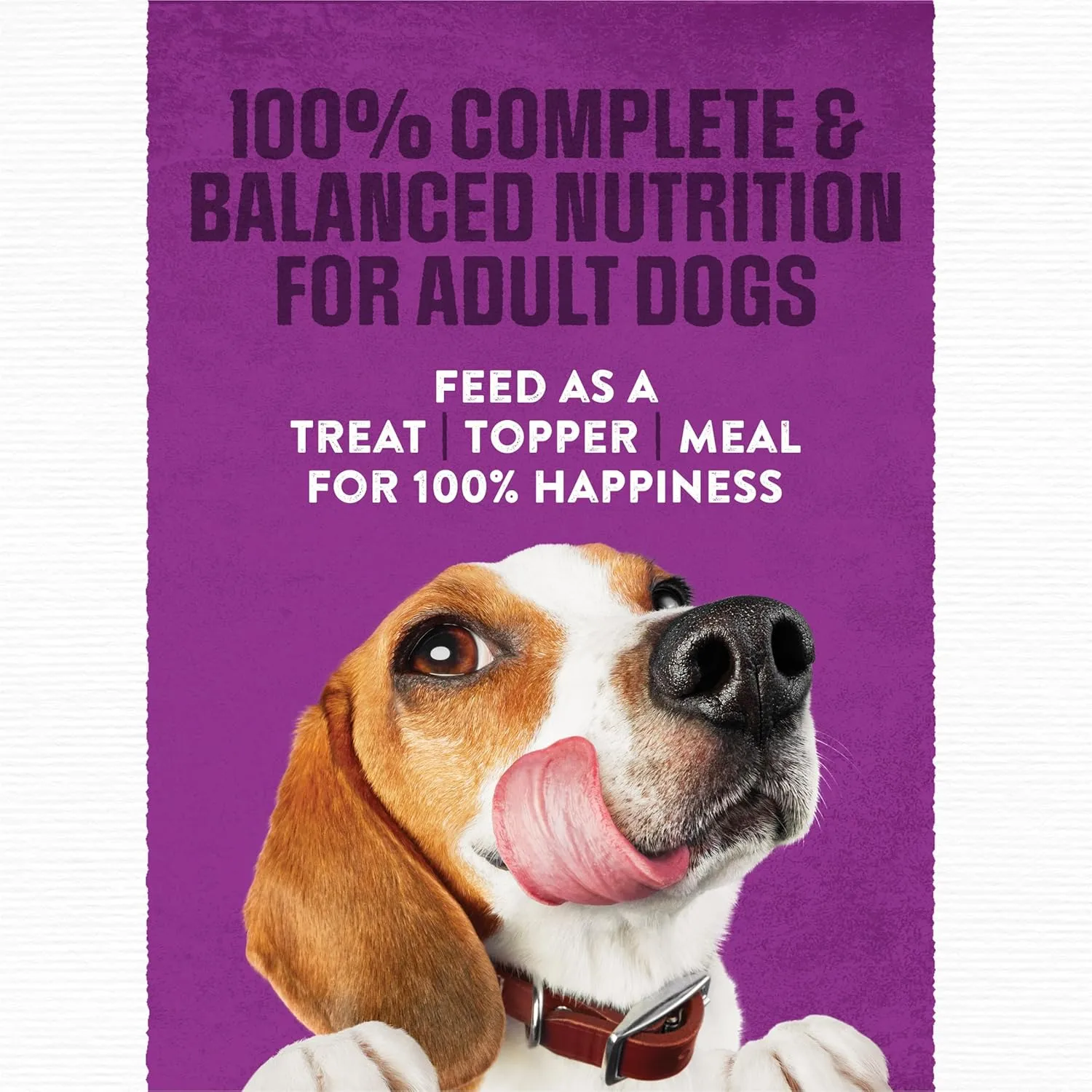 Purina Moist and Meaty Dog Food Chopped Burger Soft Dog Food Pouches - 36 ct. Pouch