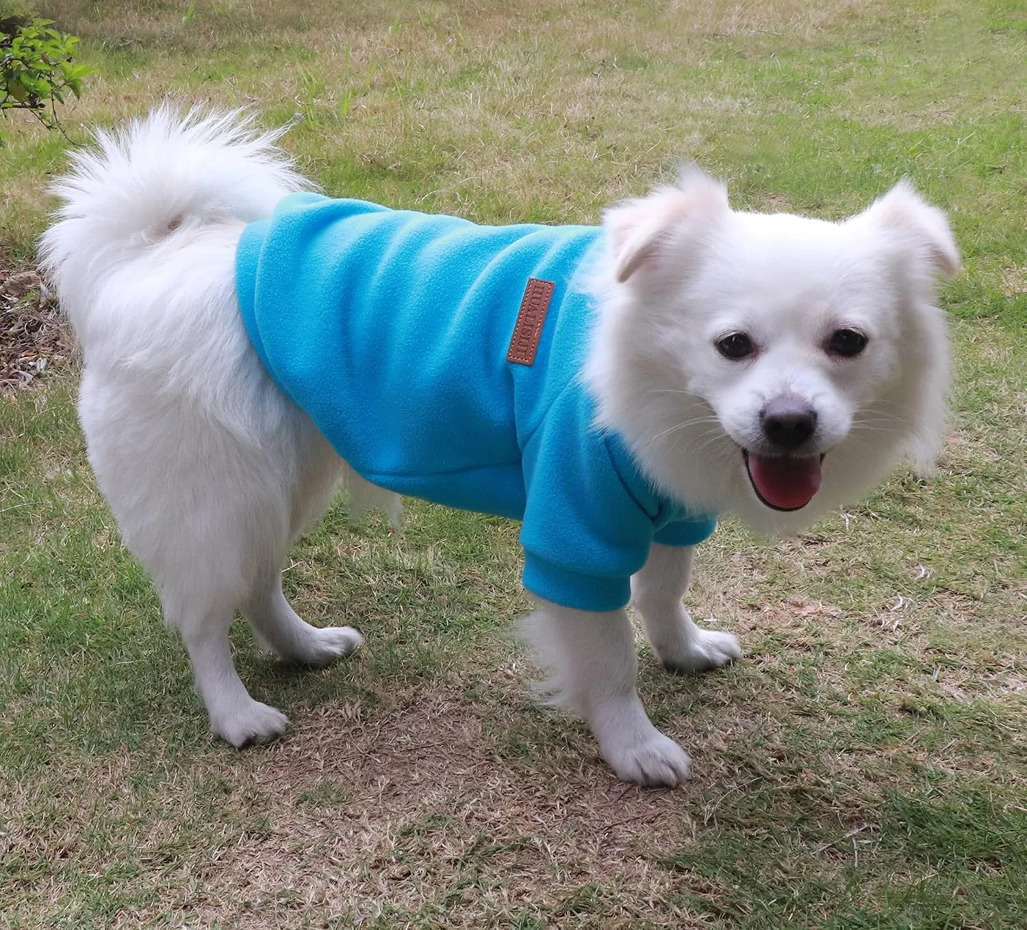 Small Dog Sweater Dog Sweatshirts for Small Dogs Chihuahua Clothes, Warm and Lightweight, with a Soft Texture, Easy to Wear and Bright Colors (Blue, Large)
