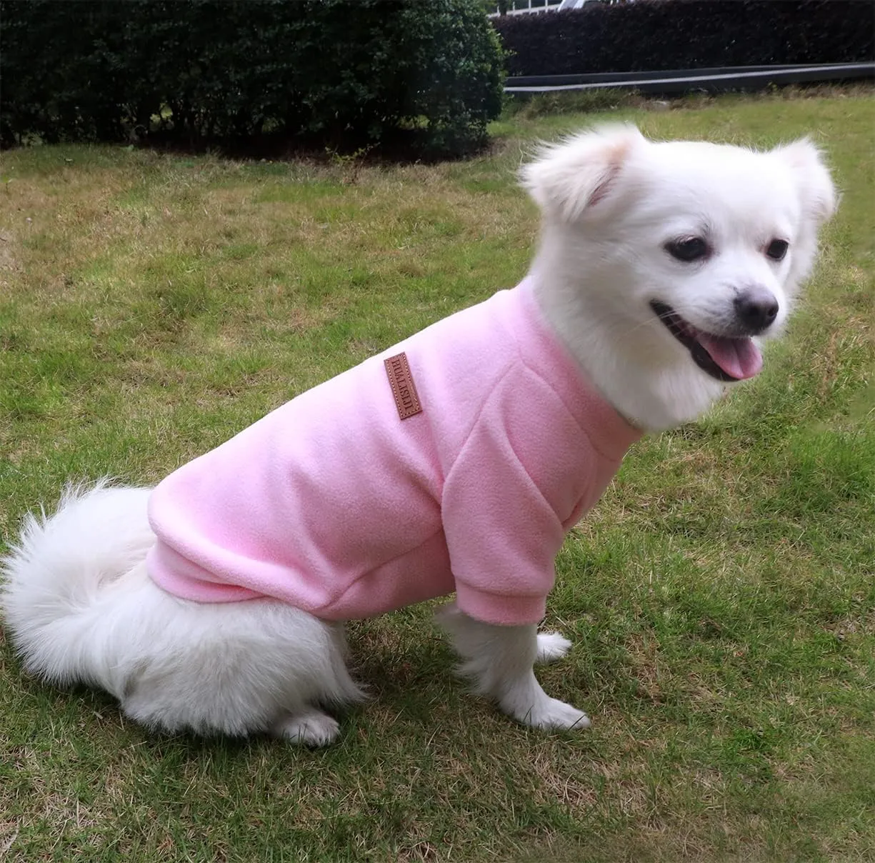 Small Dog Sweater Small Dog Sweatshirt Pet Hoodie, Warm and Lightweight, with a Soft Texture, Easy to Wear and Bright Colors (Pink, Large)
