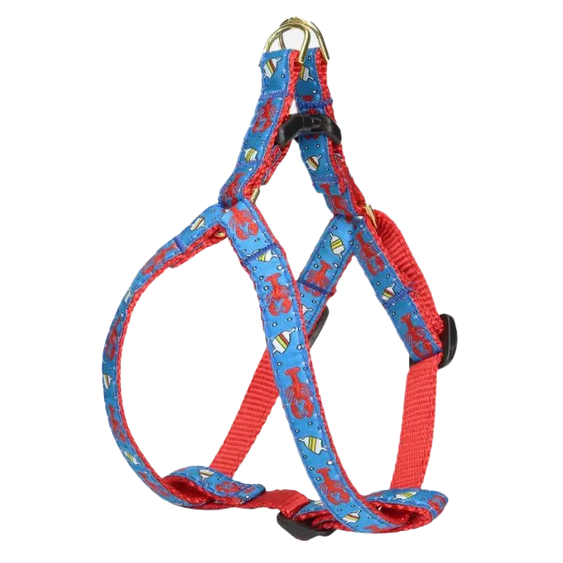Teacup Harness | Lobster & Buoy