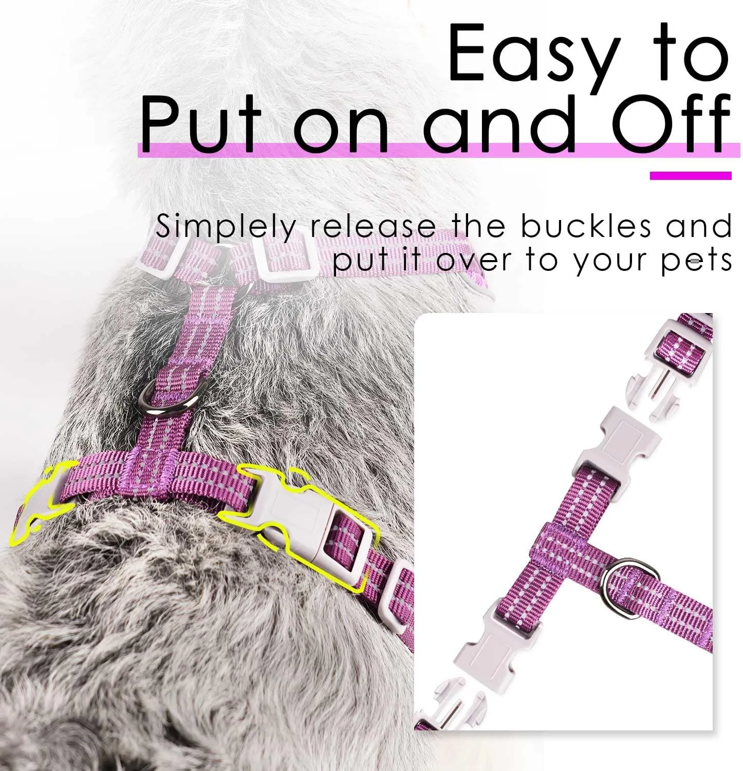 ThinkPet (,S )