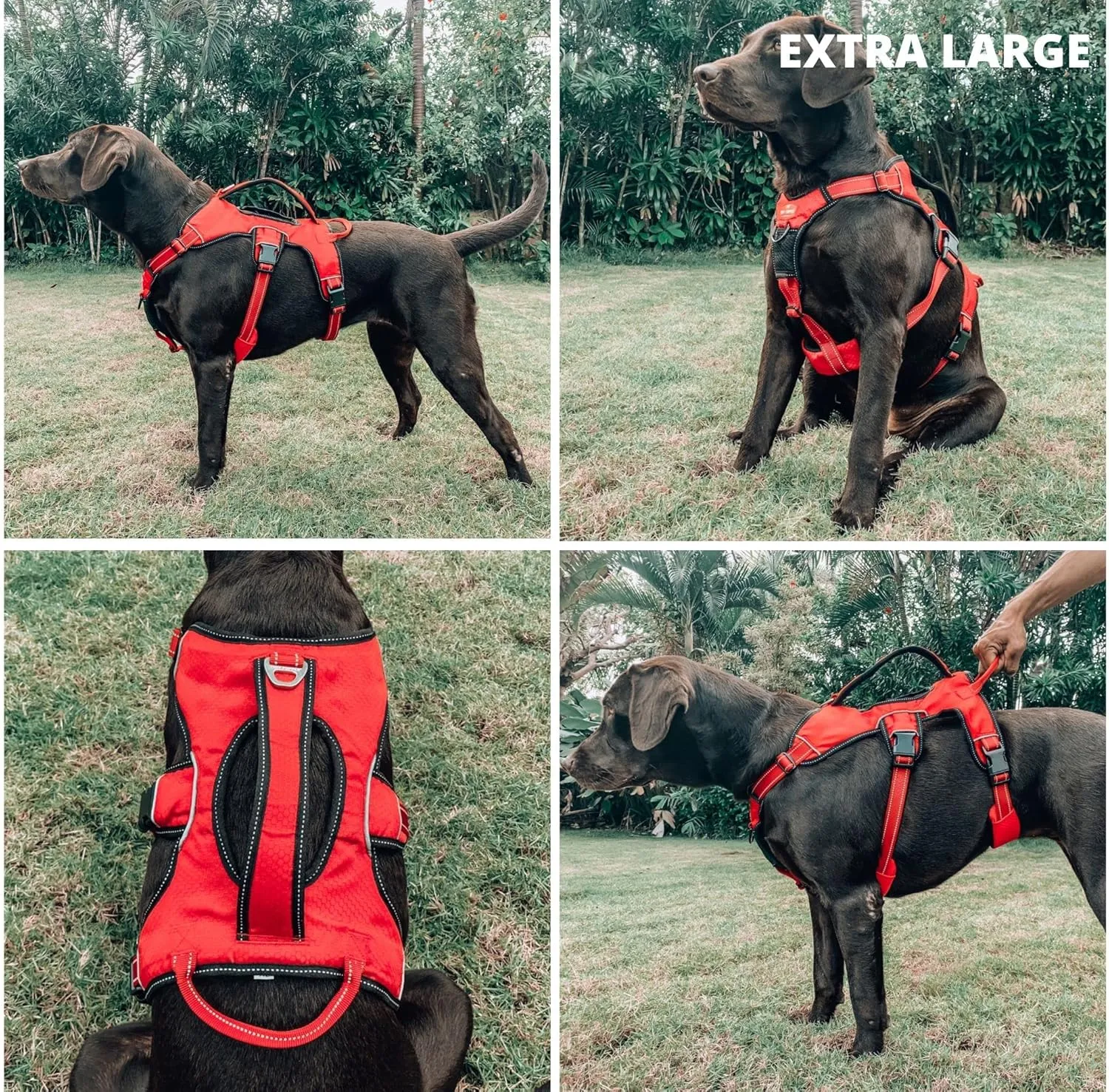 Tuff Pupper Escape Proof No Escape Dog Harness | 5 Point Adjustable Fit Harness for Dogs | Padded Dog Harnesses | Handle Dog Lift Harnesses