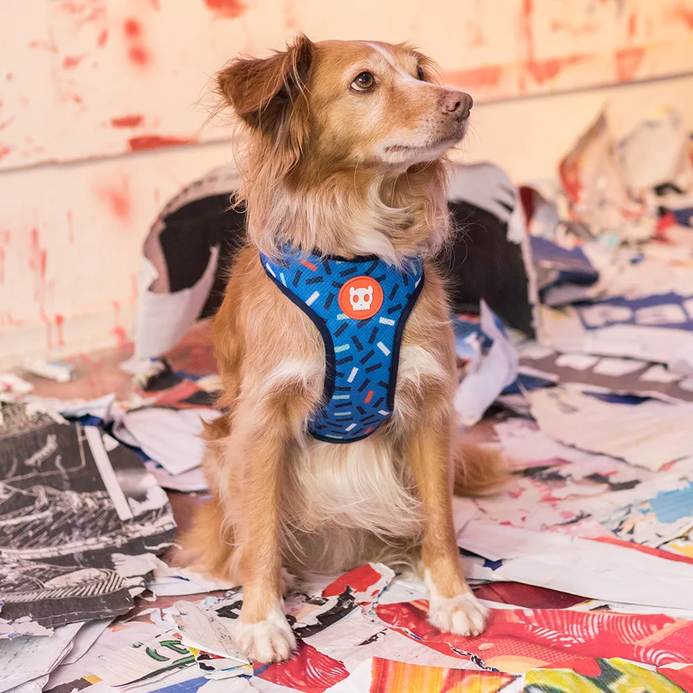 Zee.Dog Atlanta Adjustable Air Mesh Harness